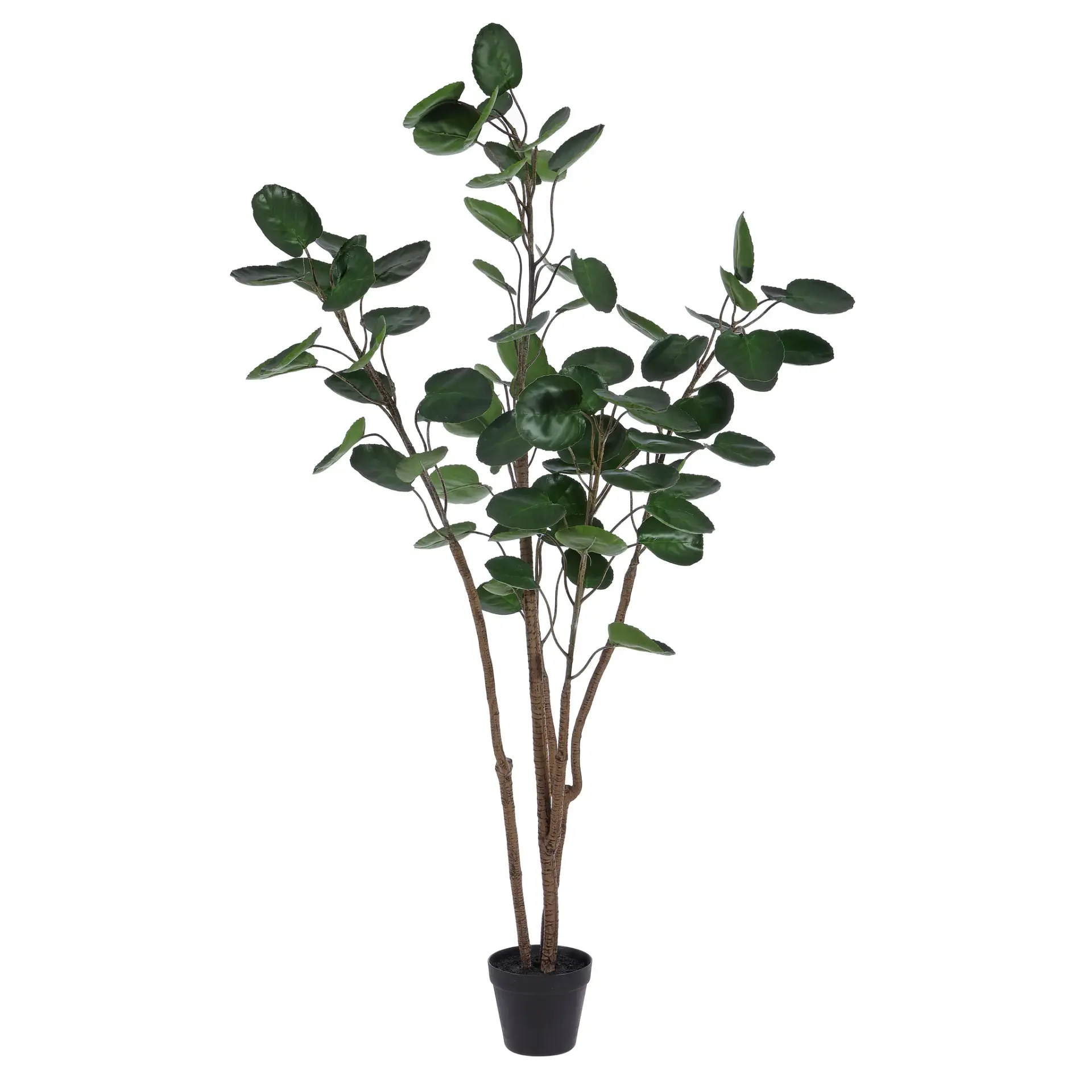 Faux 59" Potted Polyscias Tree