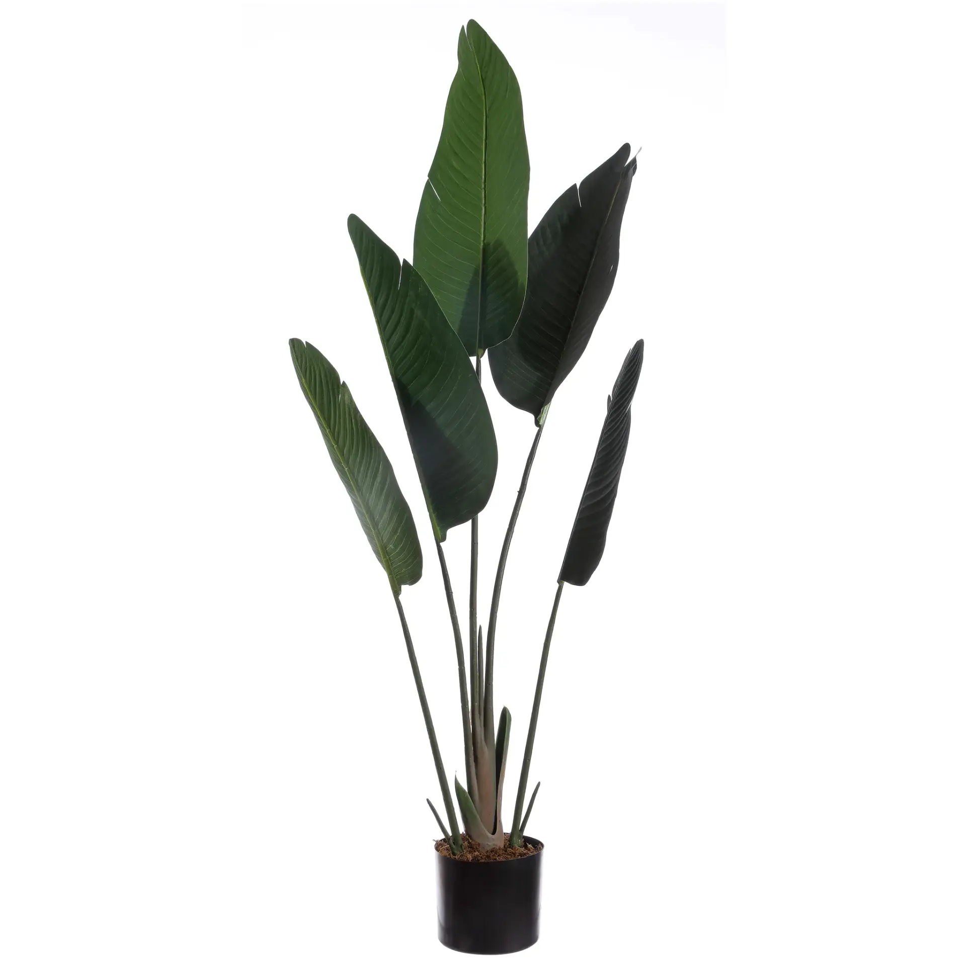 Faux 48" Bird Of Paradise Tree