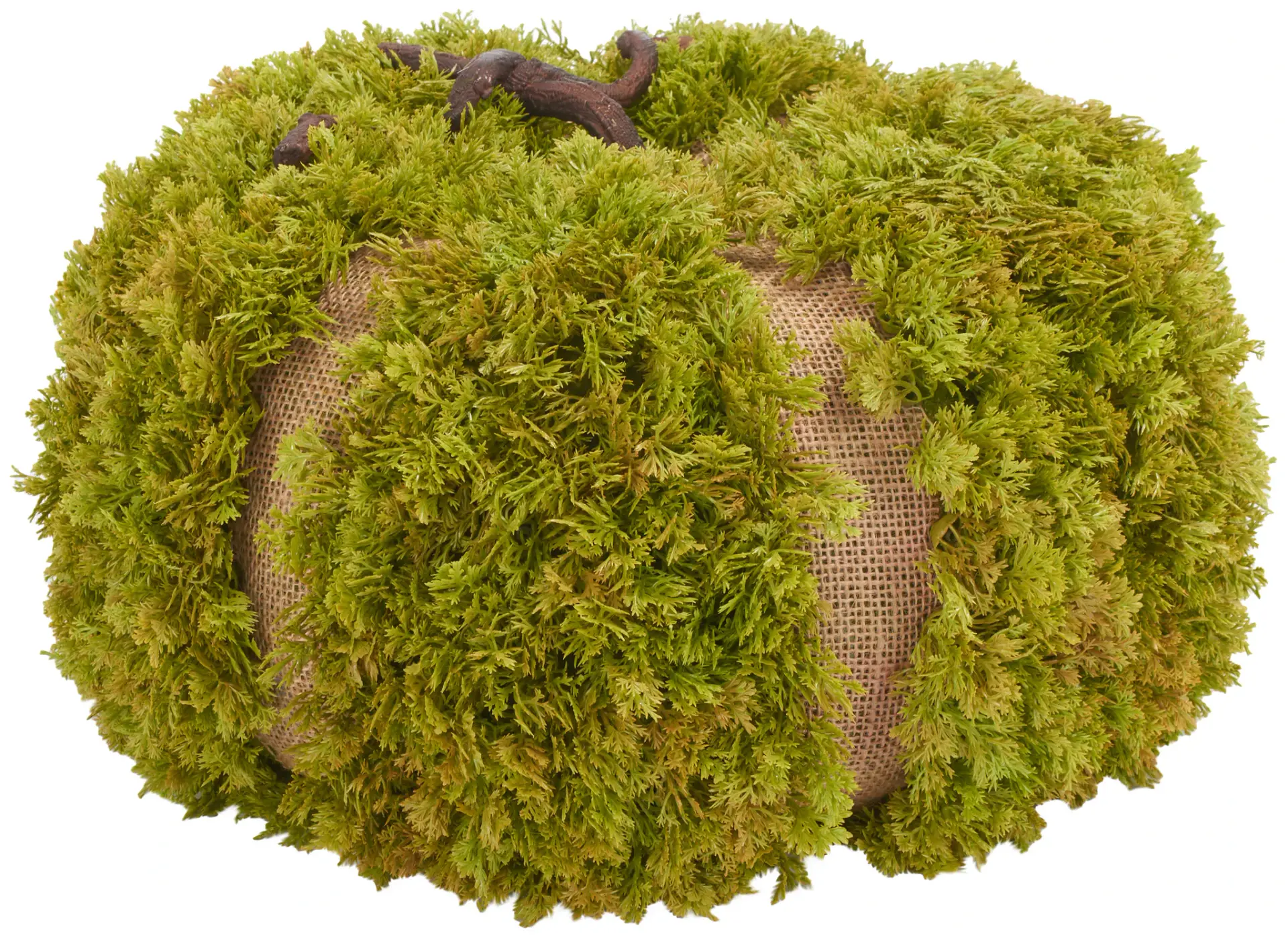 Faux 15" Moss Pumpkin