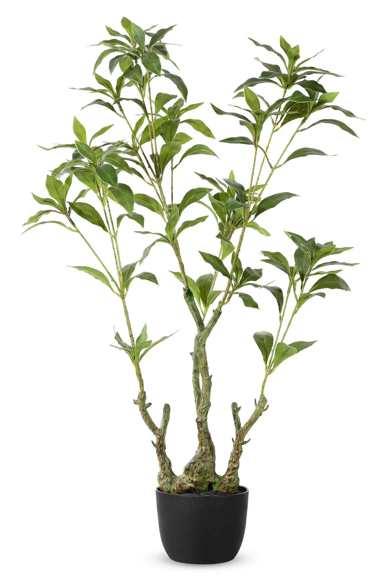 Faux 32" Potted Pierisjaponica