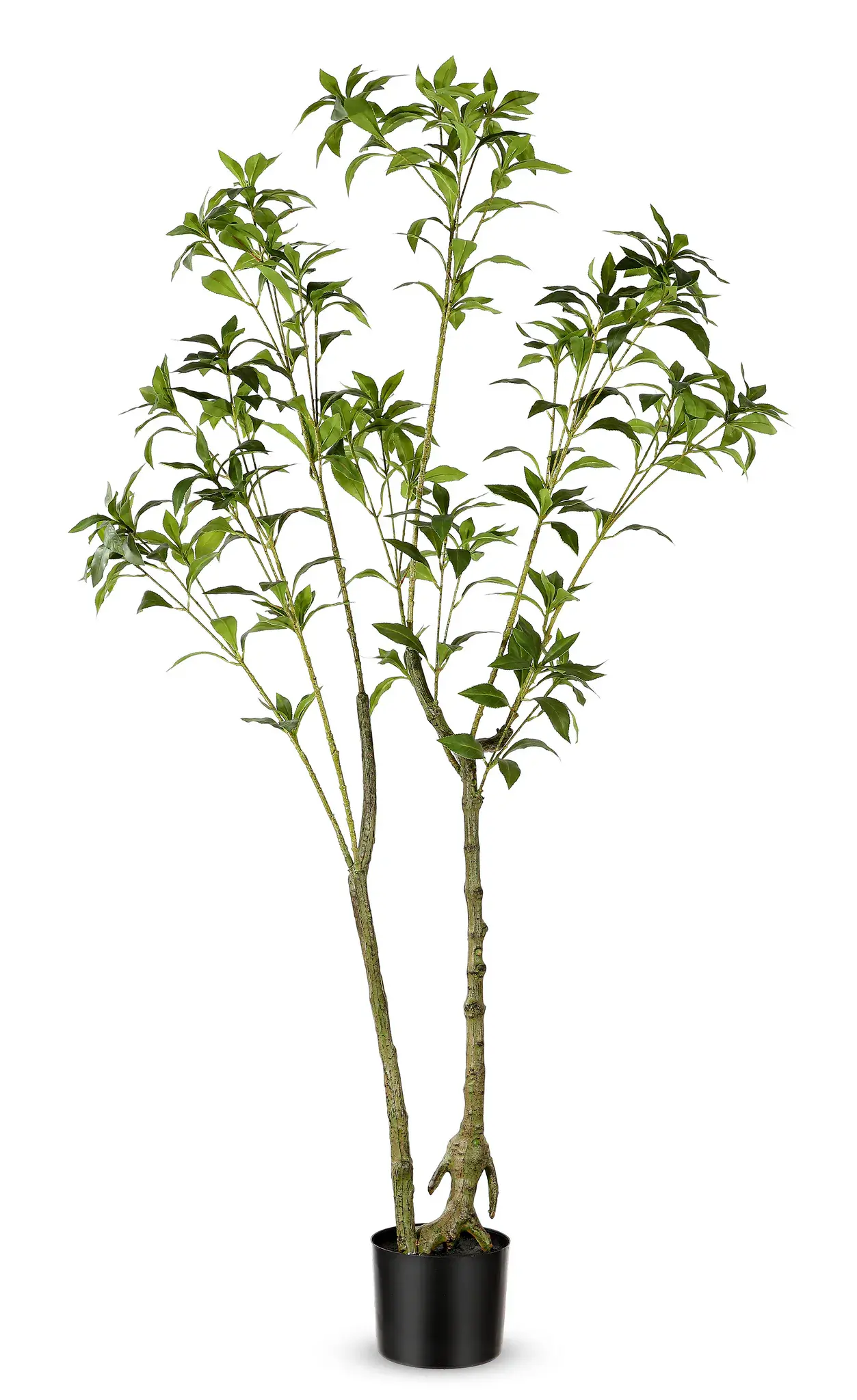 Faux 60" Potted Pierisjaponica