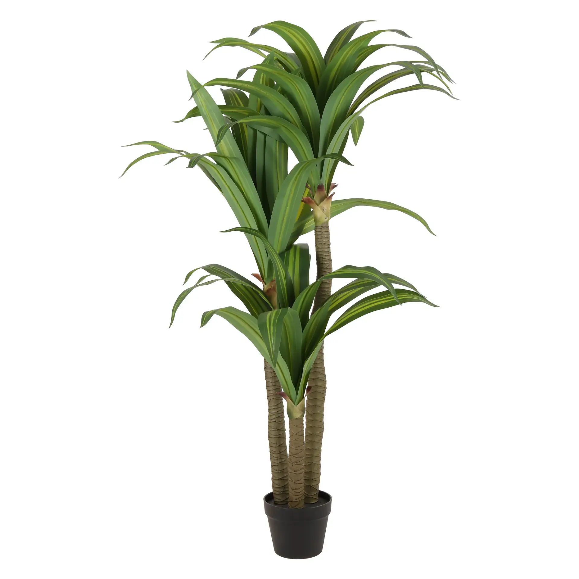 Faux 59'' Dracaena Tree