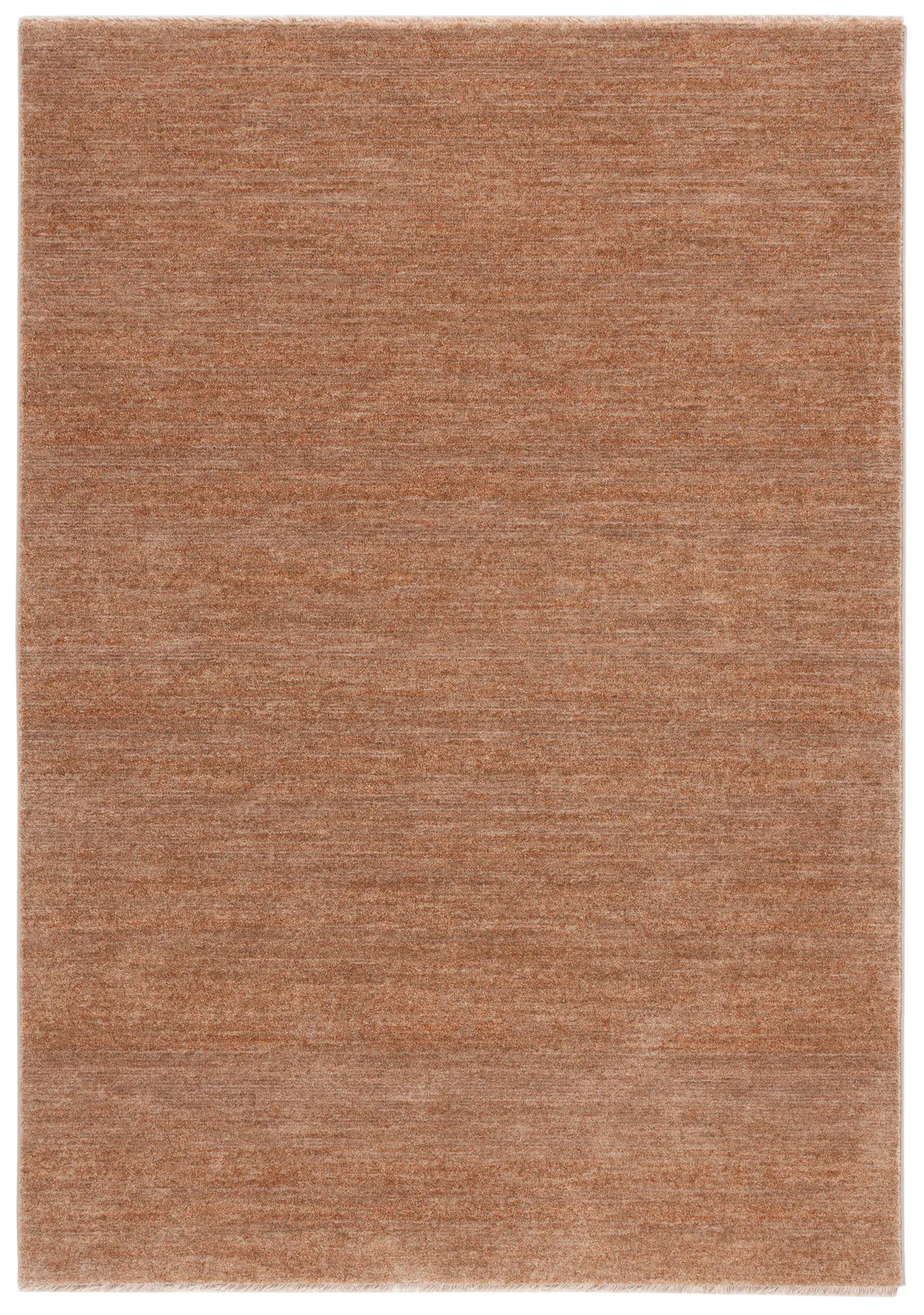 Lasa Solid Fringe Rug