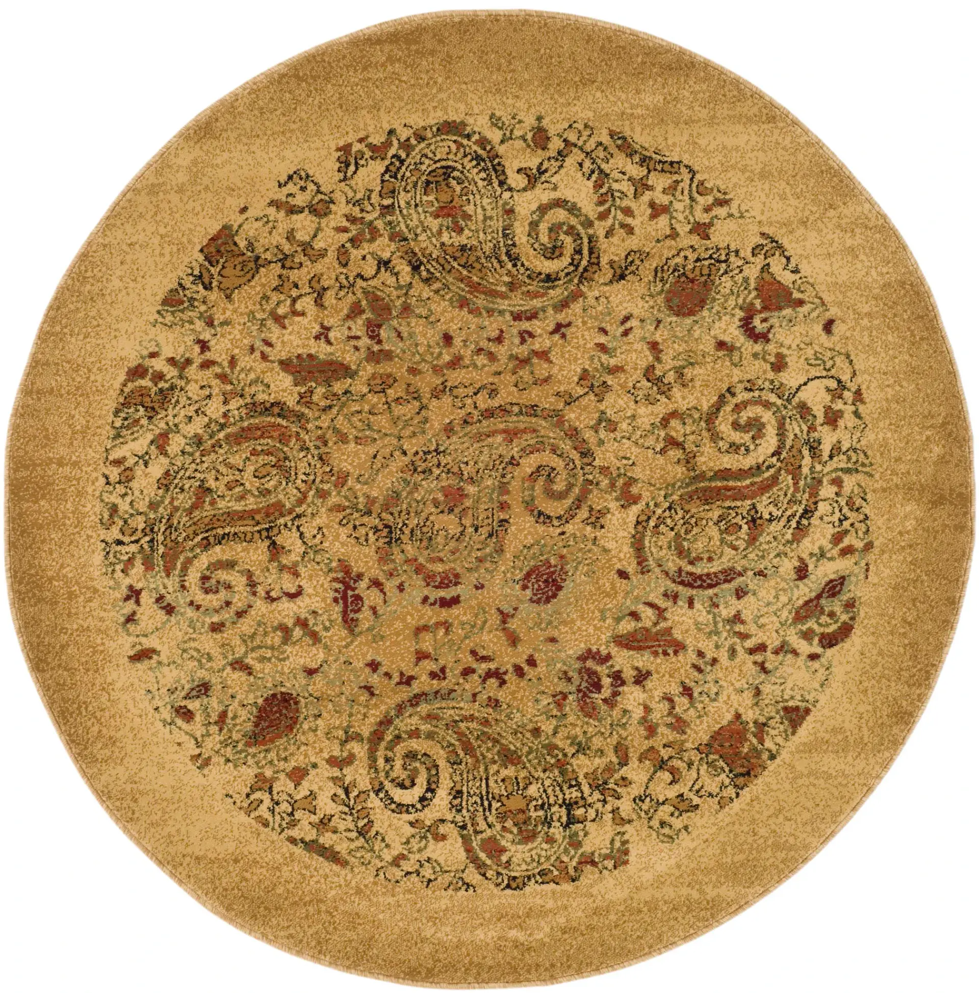 Lyndhurst Paisley Bordered Rug