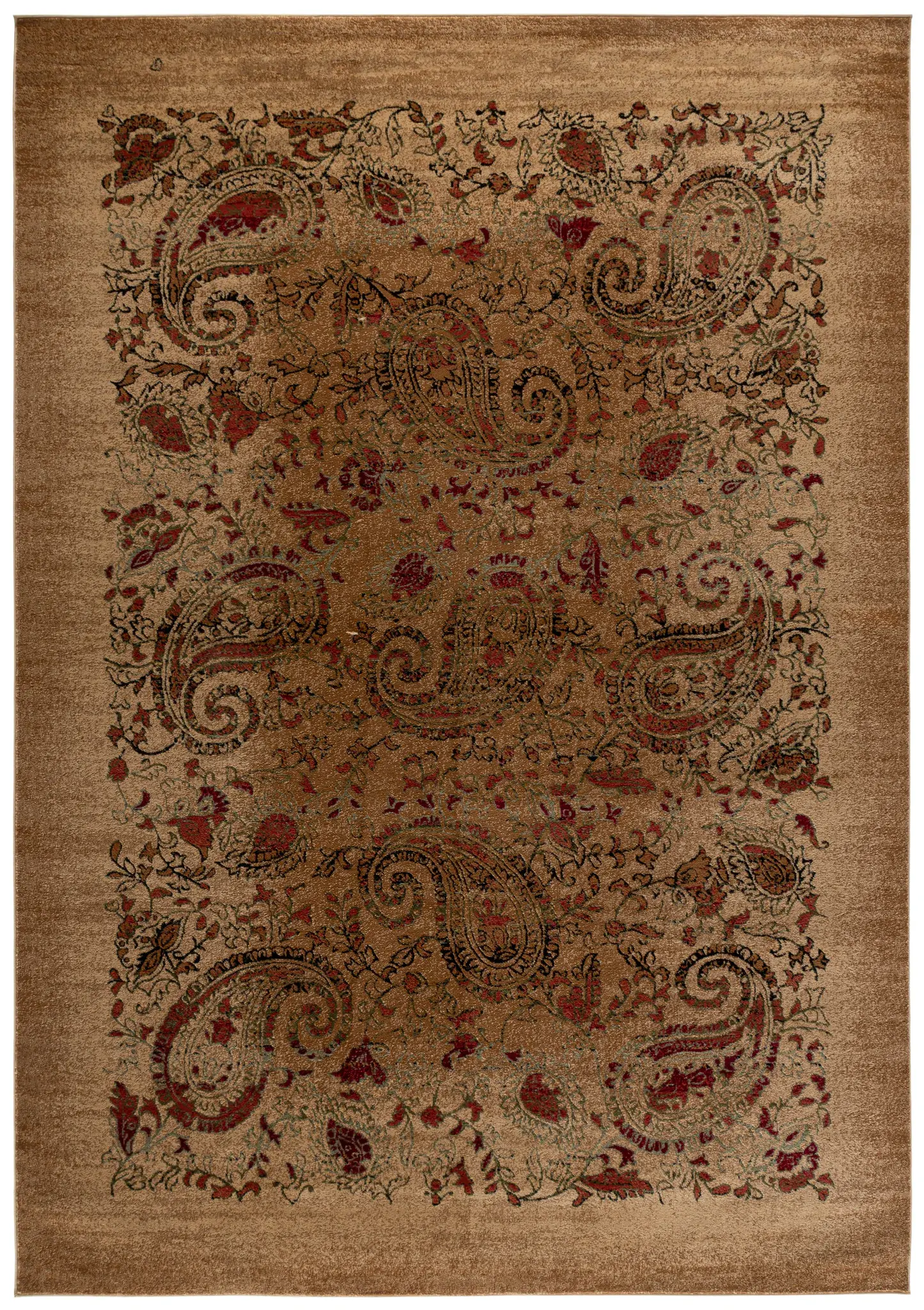 Lyndhurst Paisley Bordered Rug