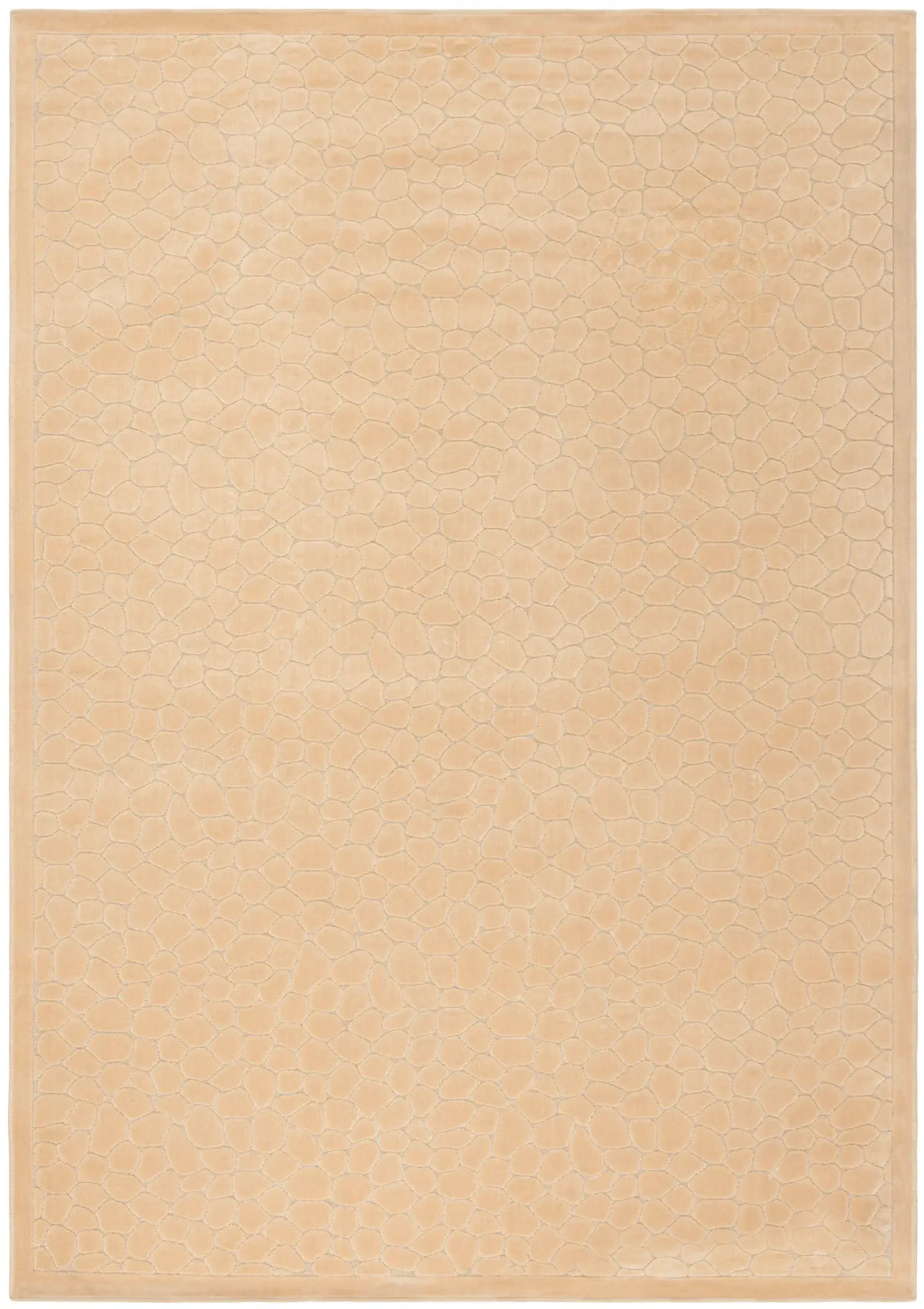 Martha Stewart Reptilian Rug