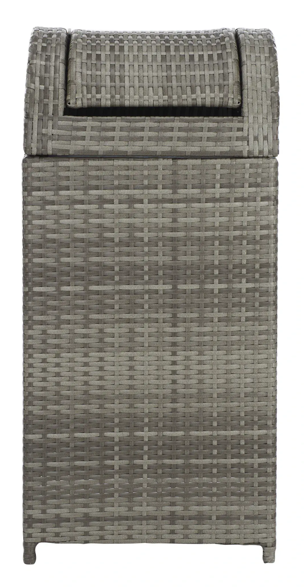 Serapis Trash Bin