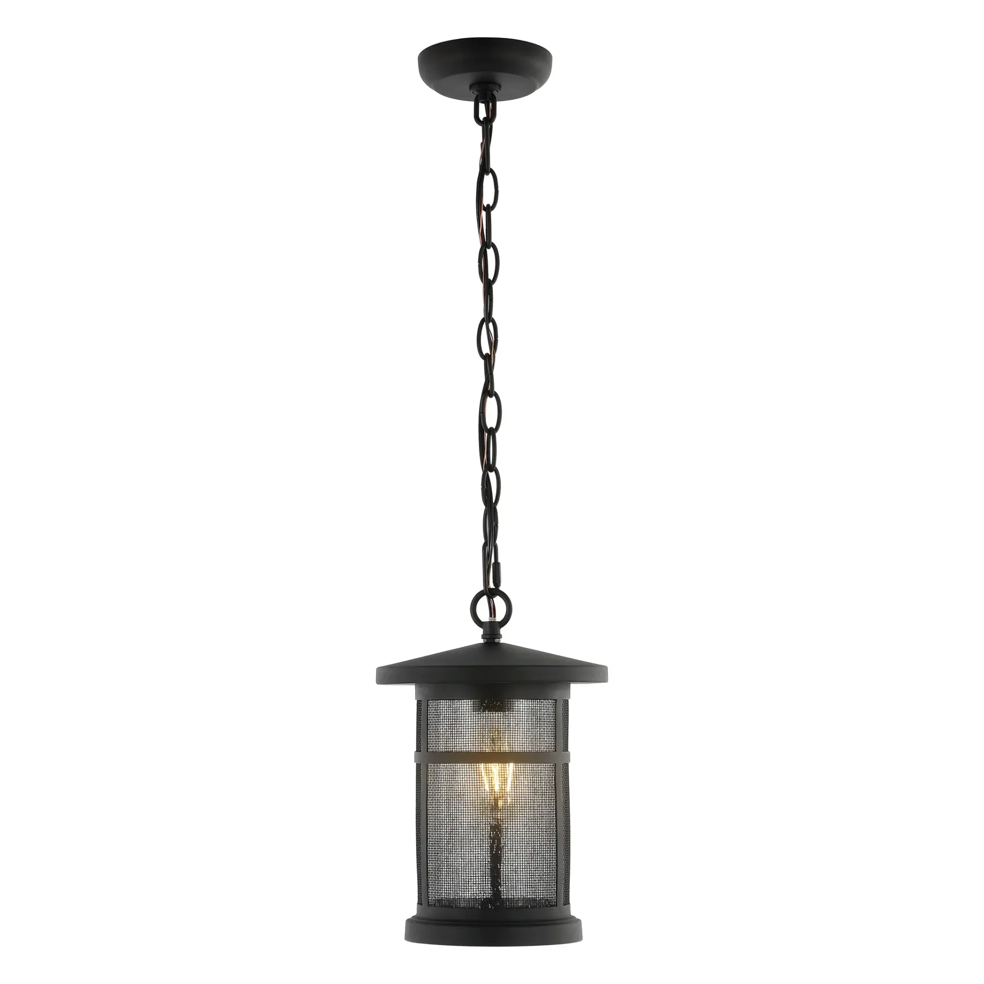 Osprey Outdoor Pendant