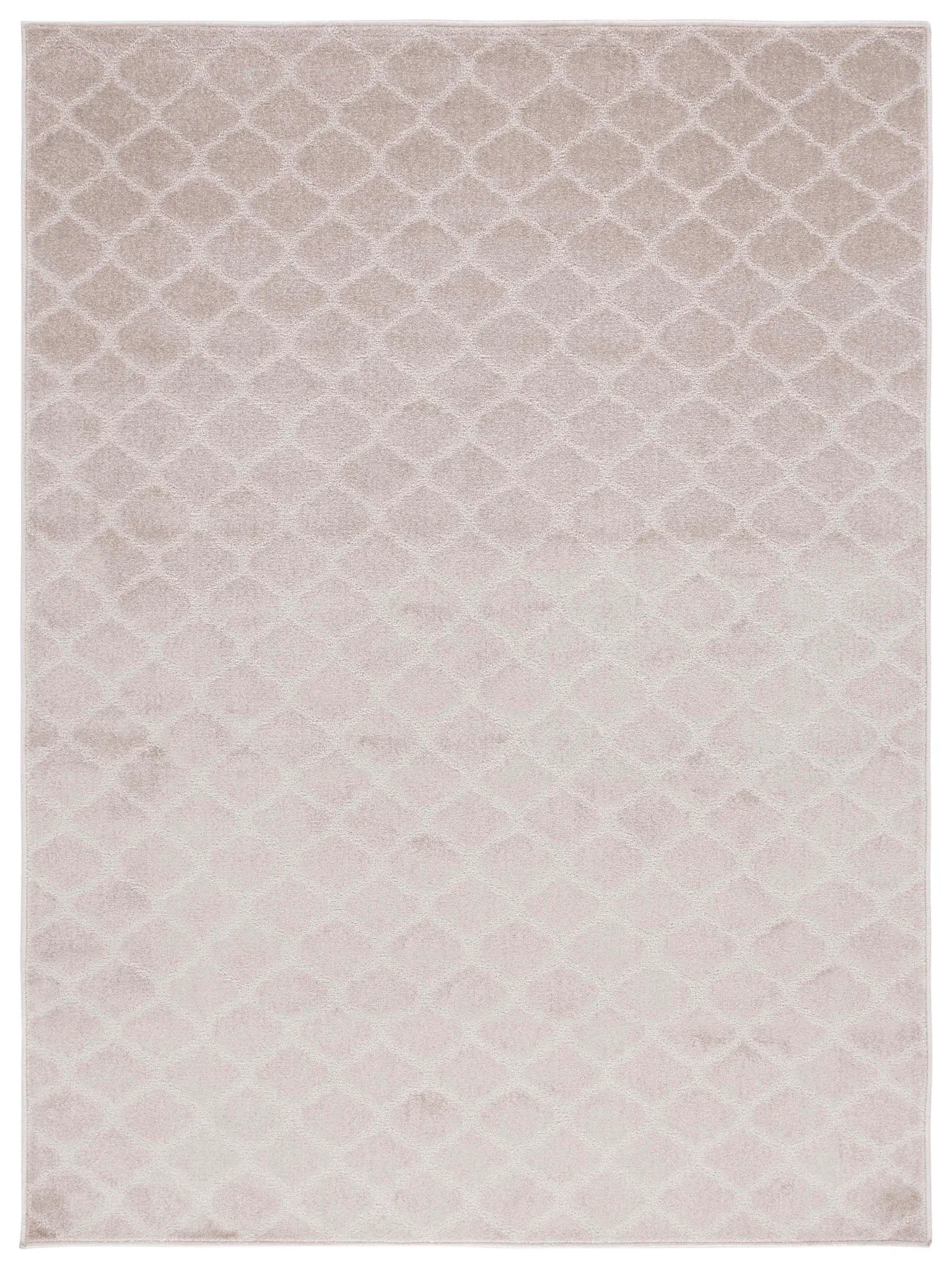 Pattern & Solid Pattern And Solid Trellis Rug