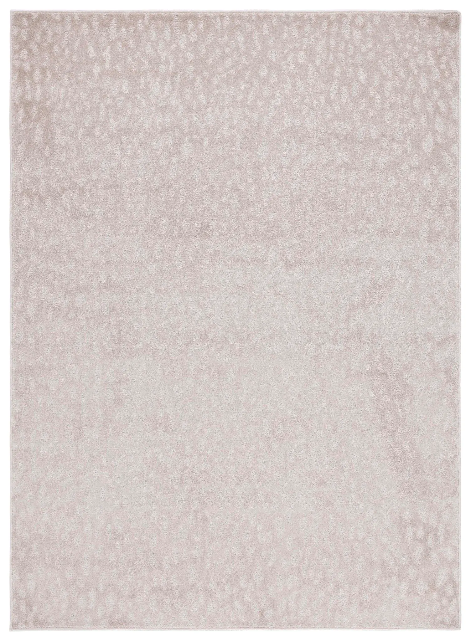Pattern & Solid Pattern And Solid Spotted Rug
