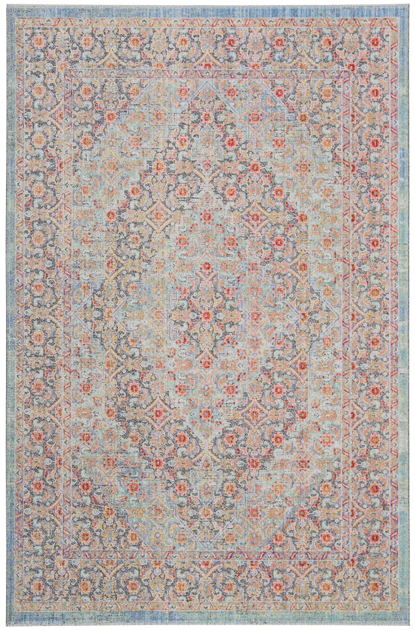 Provance Bordered Medallion Rug