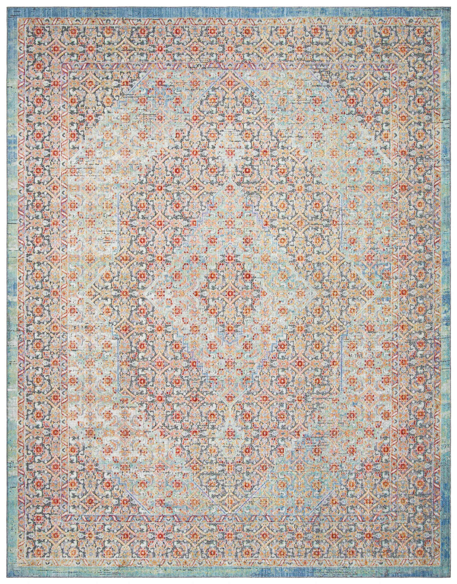 Provance Bordered Medallion Rug