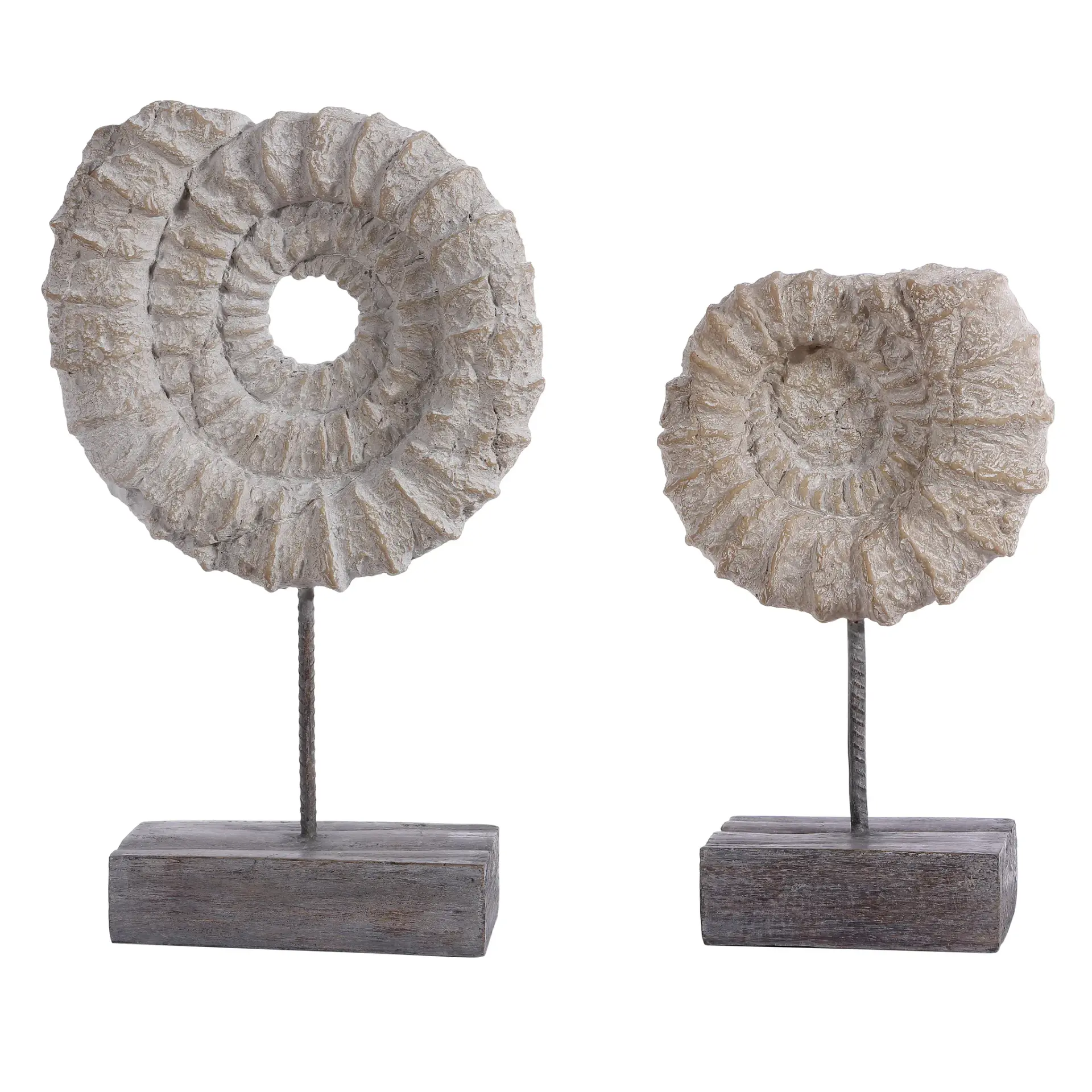 Lena Set Of 2 Ammonite Shell Table Decor (Set of 2)