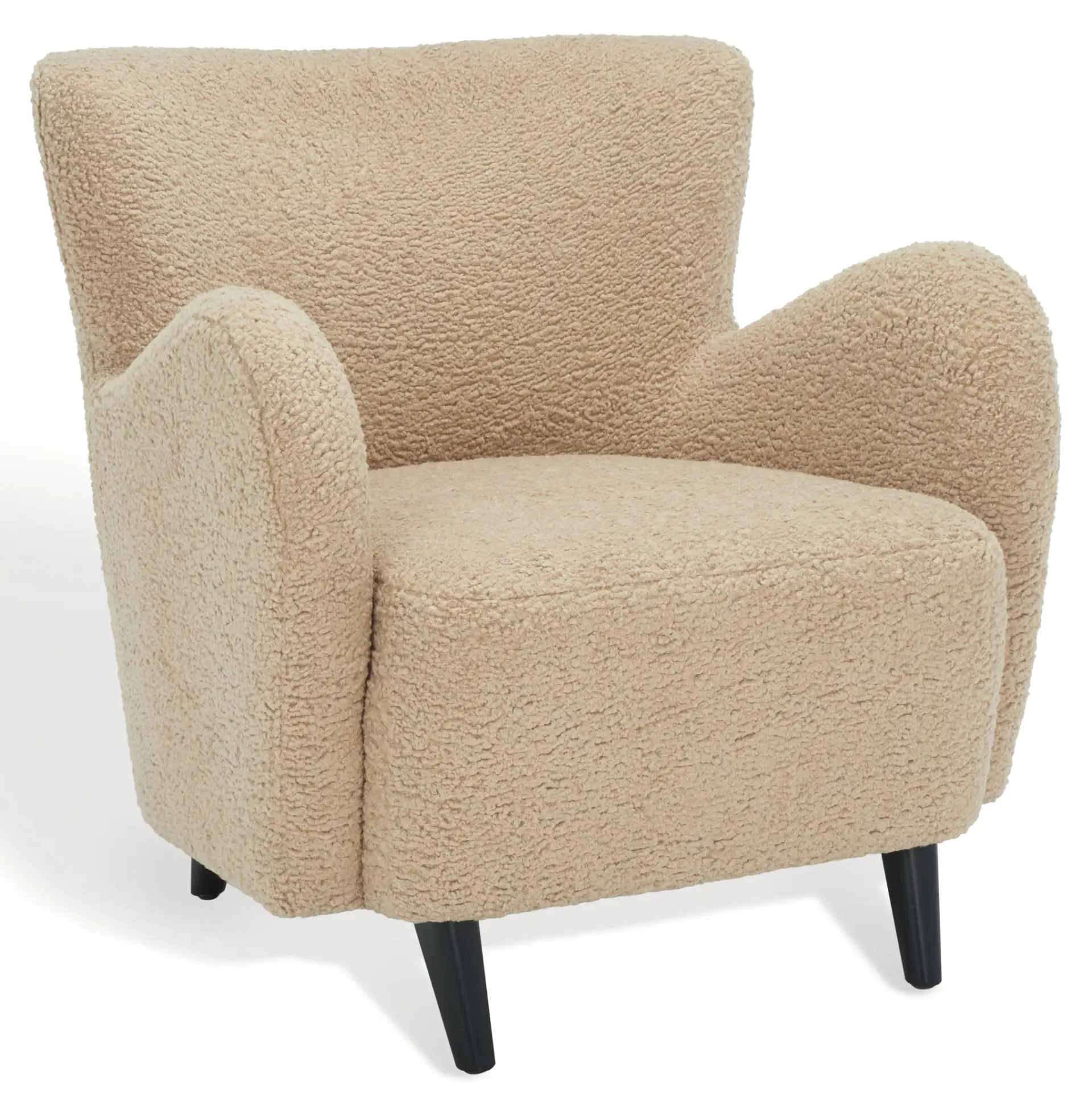 Rayanne Modern Wingback Chair