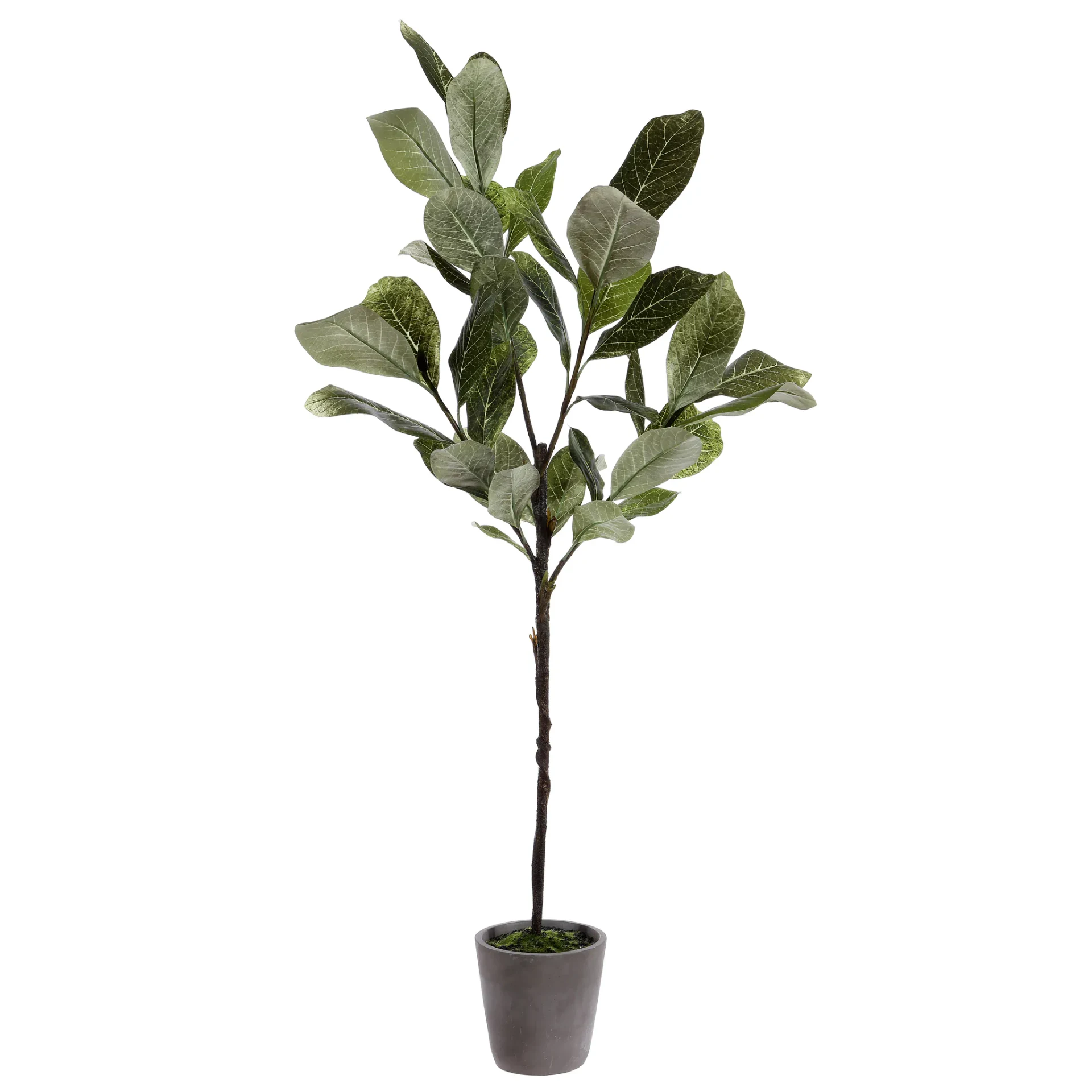 Faux 51" Potted Tree in Pot / Gray
