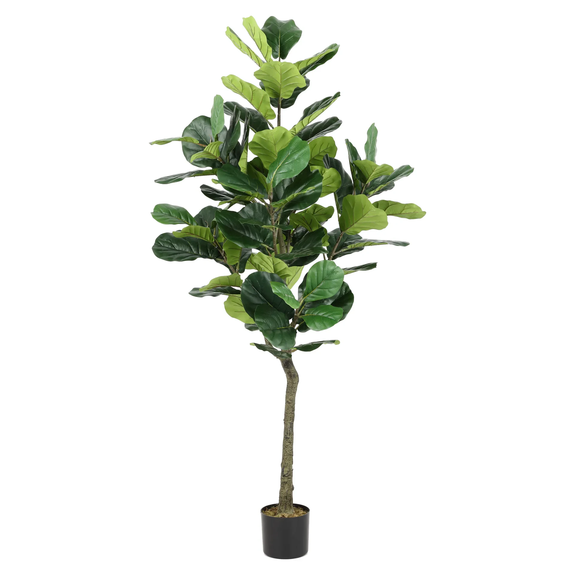 Faux 50" Potted Fig Tree in Green