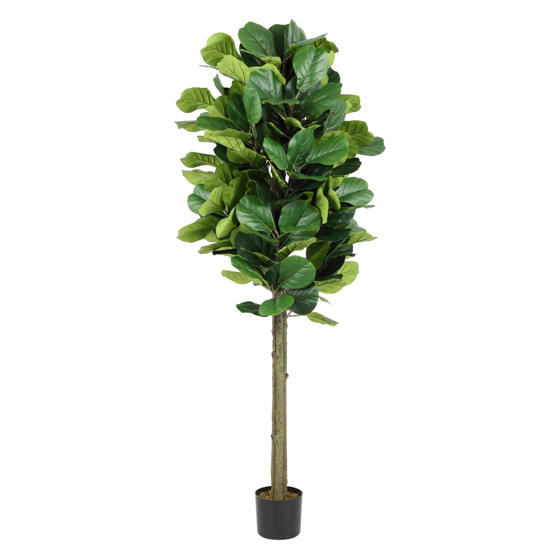Faux 72" Potted Fig Tree in Green
