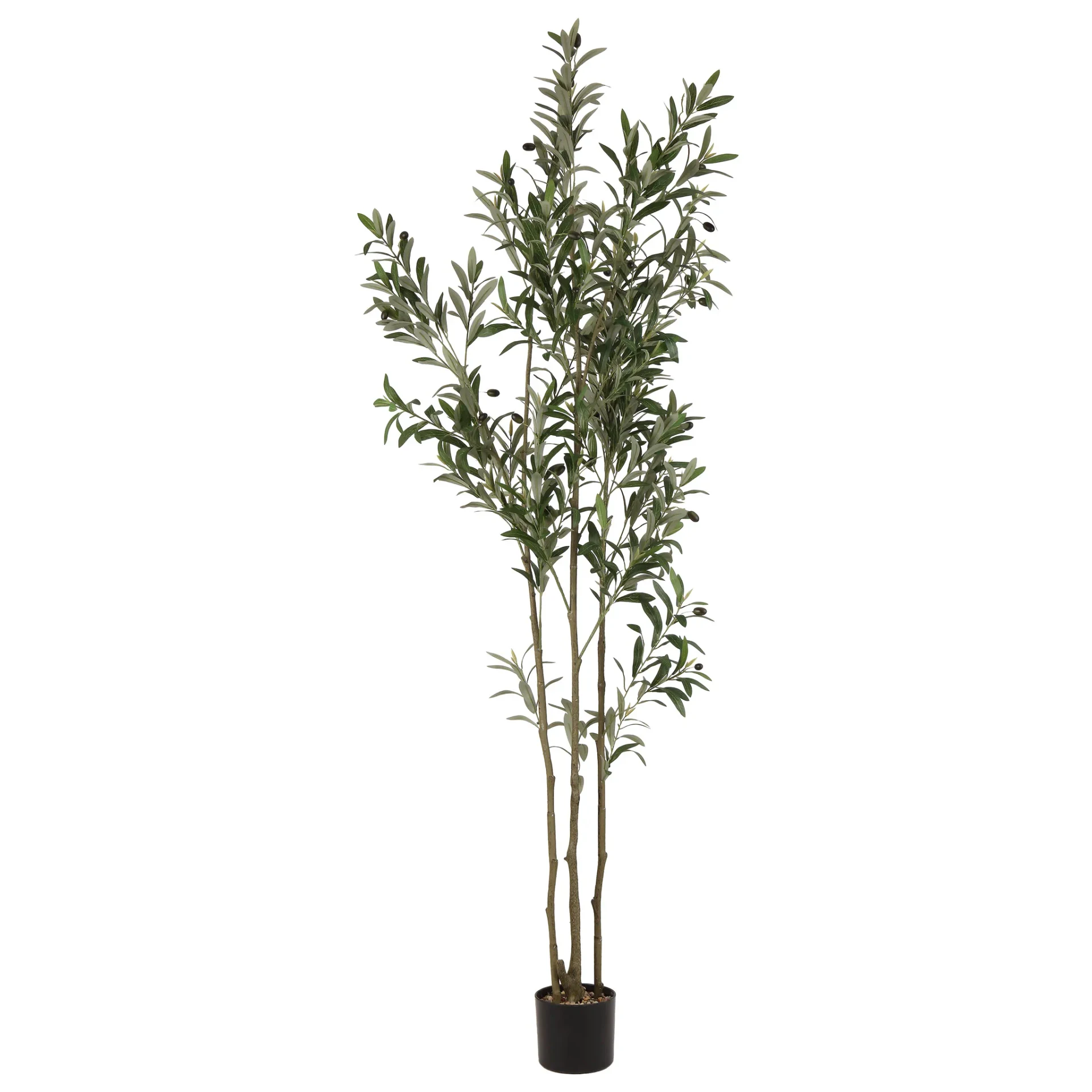 Faux 71'' Olive Tree in Green / Black