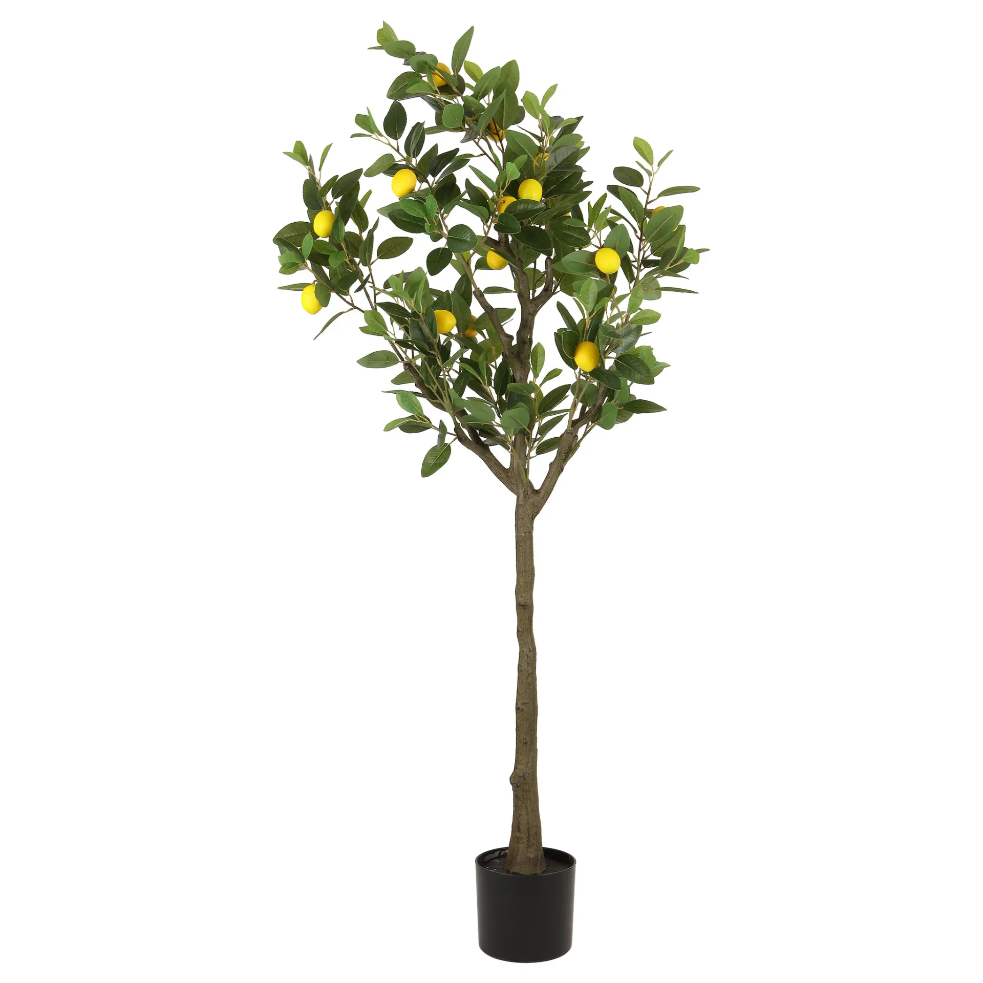 Faux 59'' Lemon Tree in Green / Black