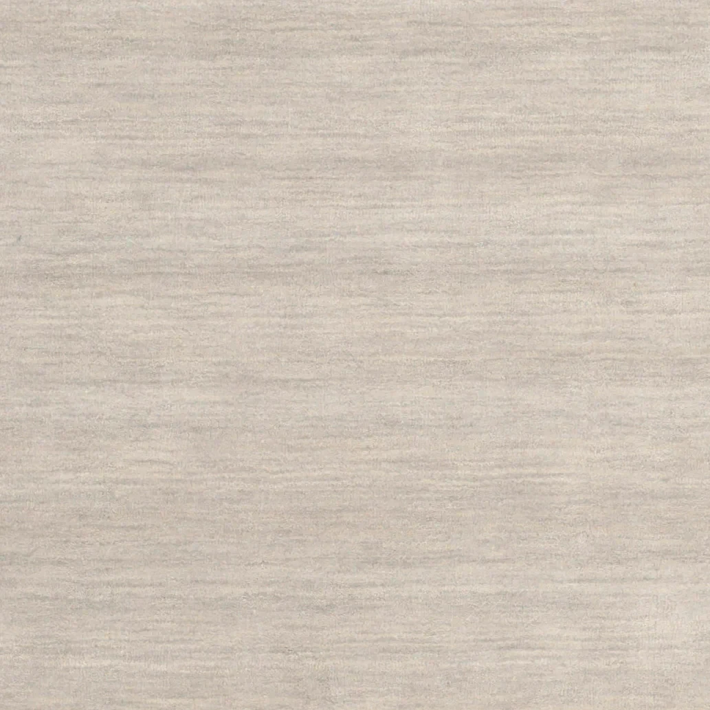 Himalaya Solid Bordered Hand-Loomed Wool Rug in Light Gray / Dark Gray