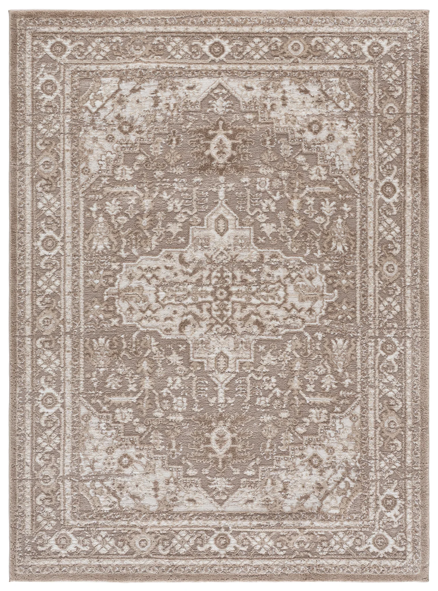 Lunara Distressed Medallion Rug in Beige / Gray