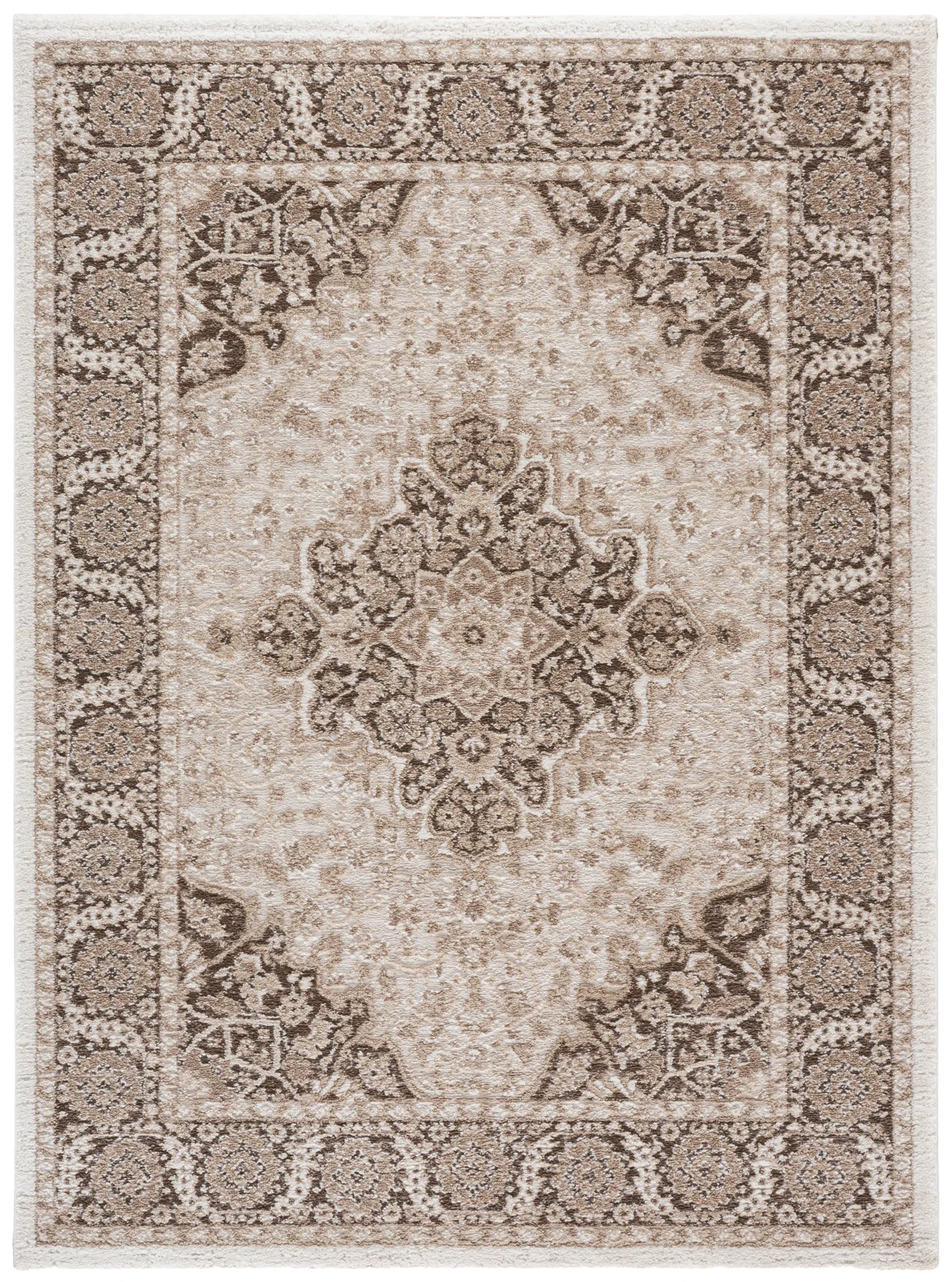 Lunara Traditional Medallion Rug in Beige / Brown