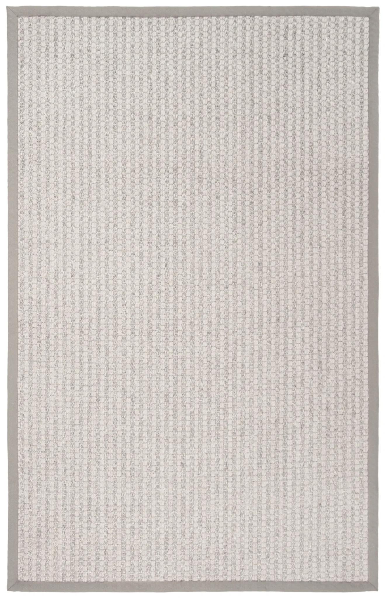 Palm Beach Solid Bordered Rug in Silver / Ivory