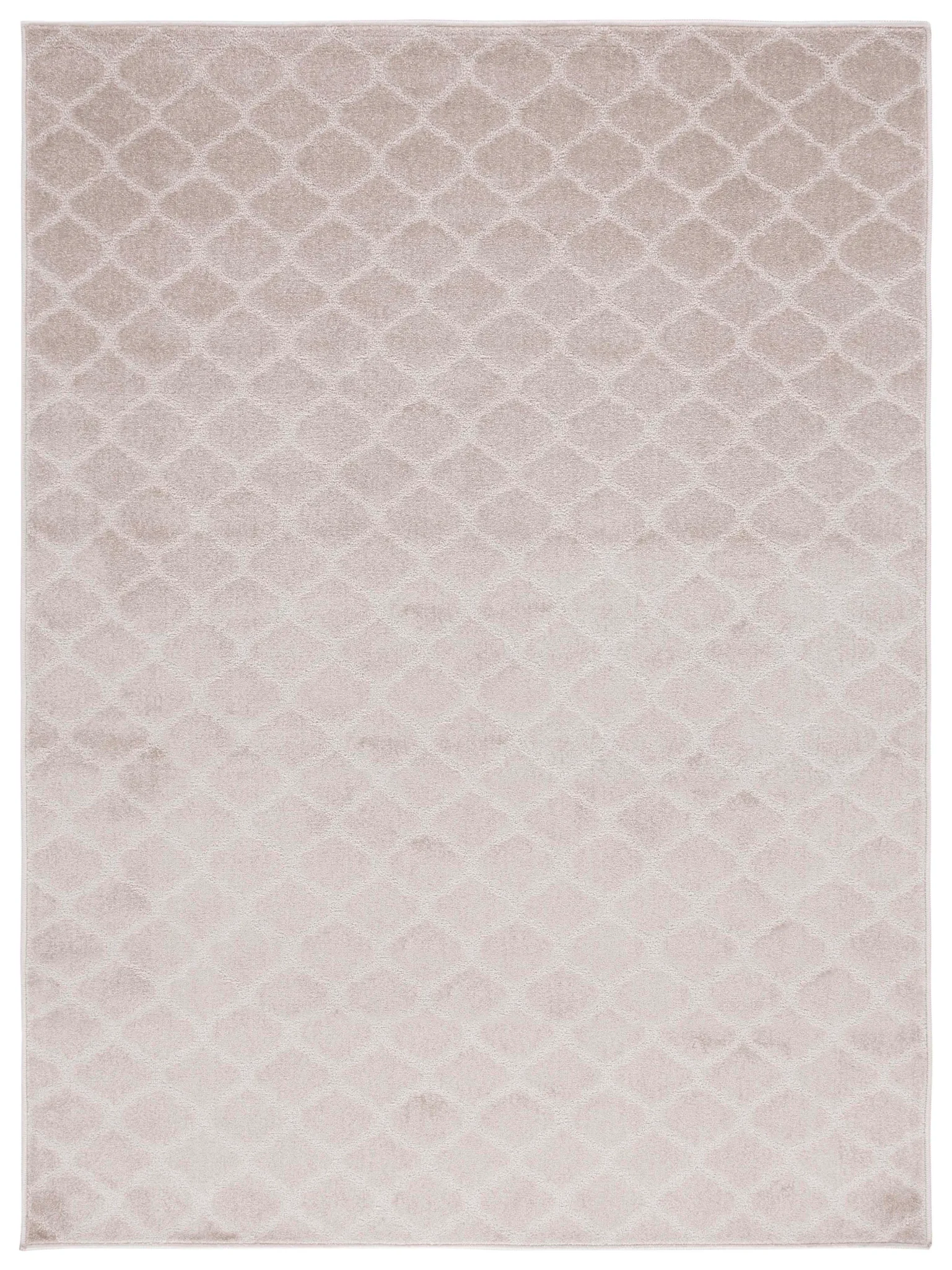 Pattern & Solid Pattern And Solid Trellis Rug in Beige