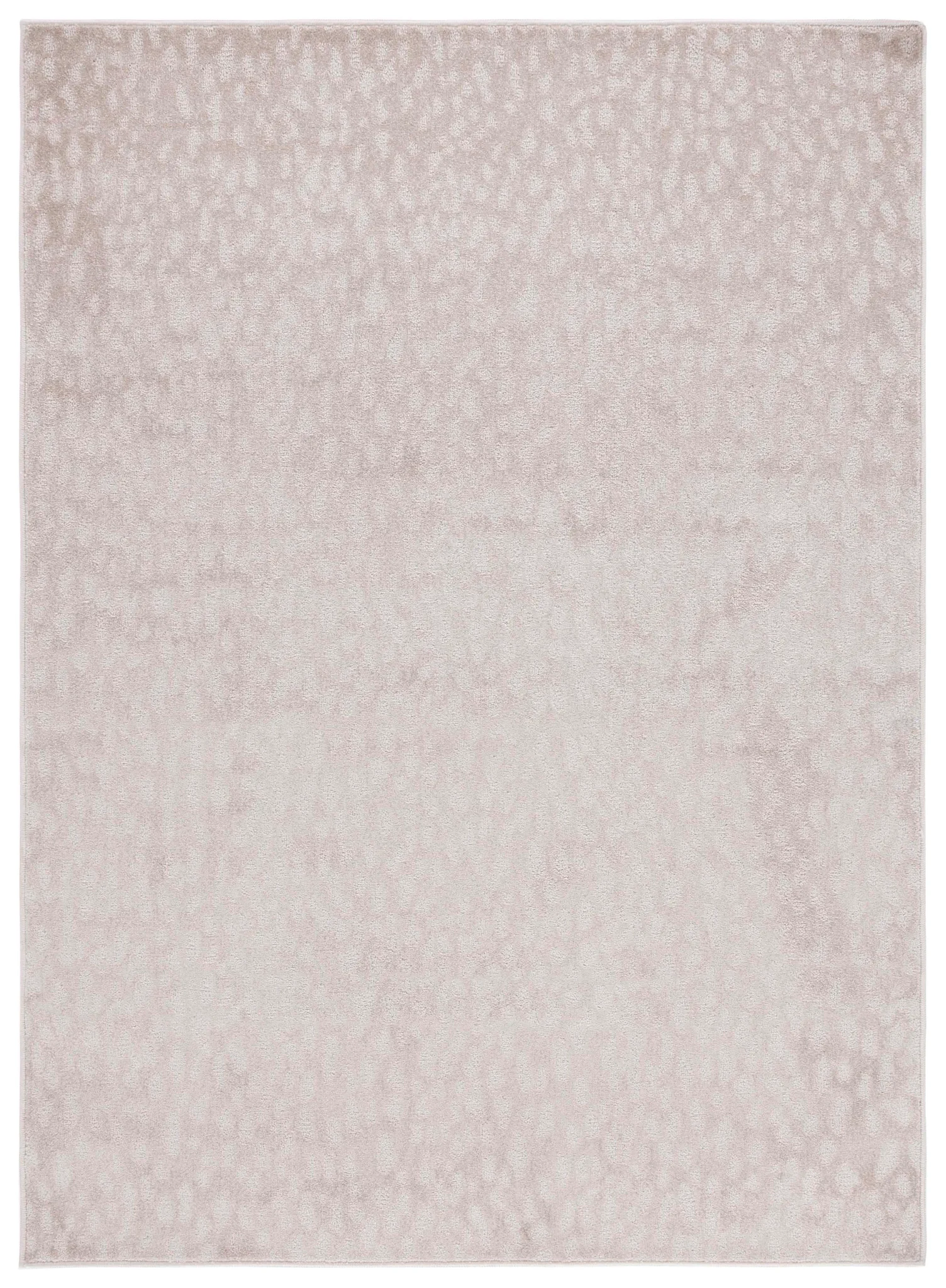Pattern & Solid Pattern And Solid Spotted Rug in Beige