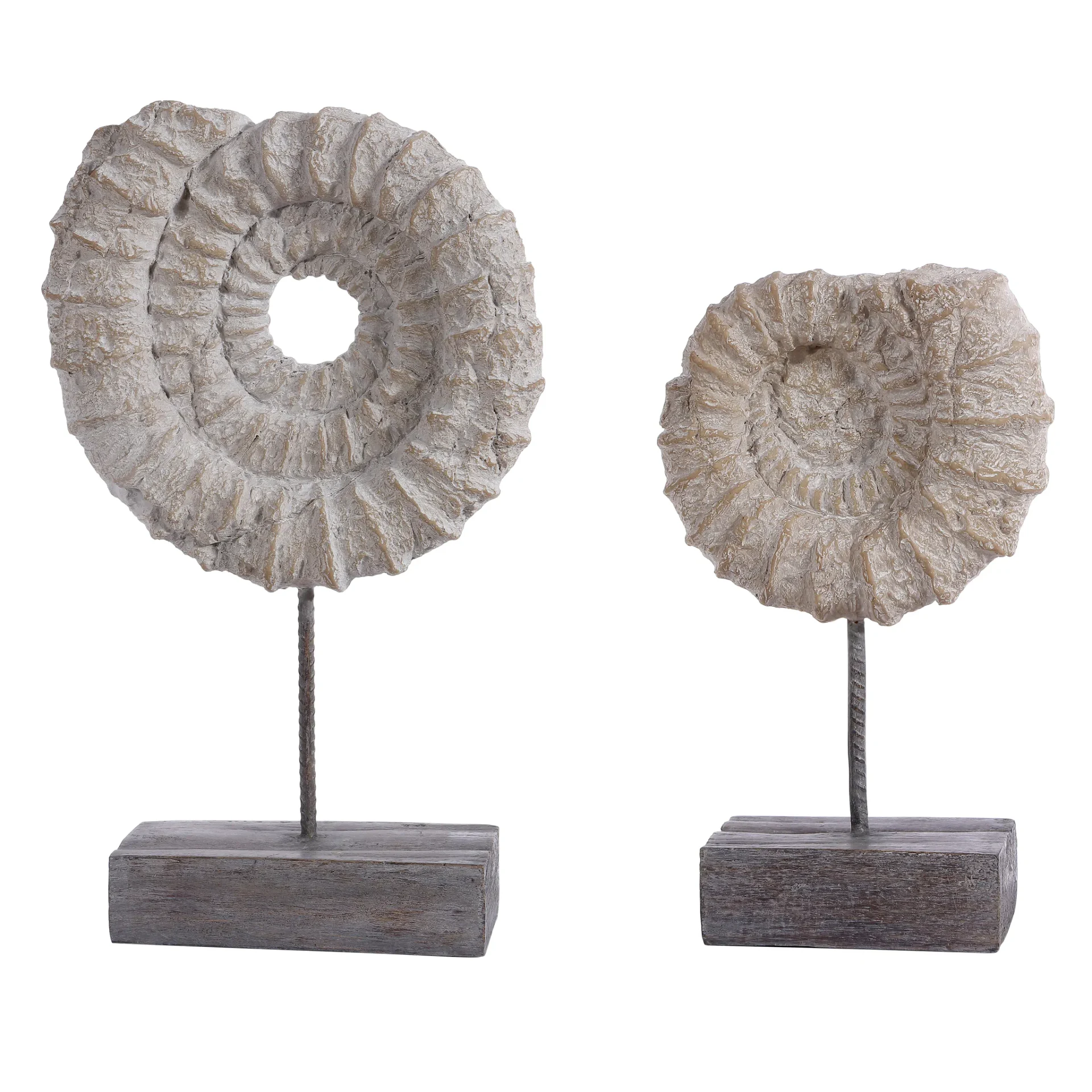 Lena Set Of 2 Ammonite Shell Table Decor (Set of 2) in Light Beige / Gray