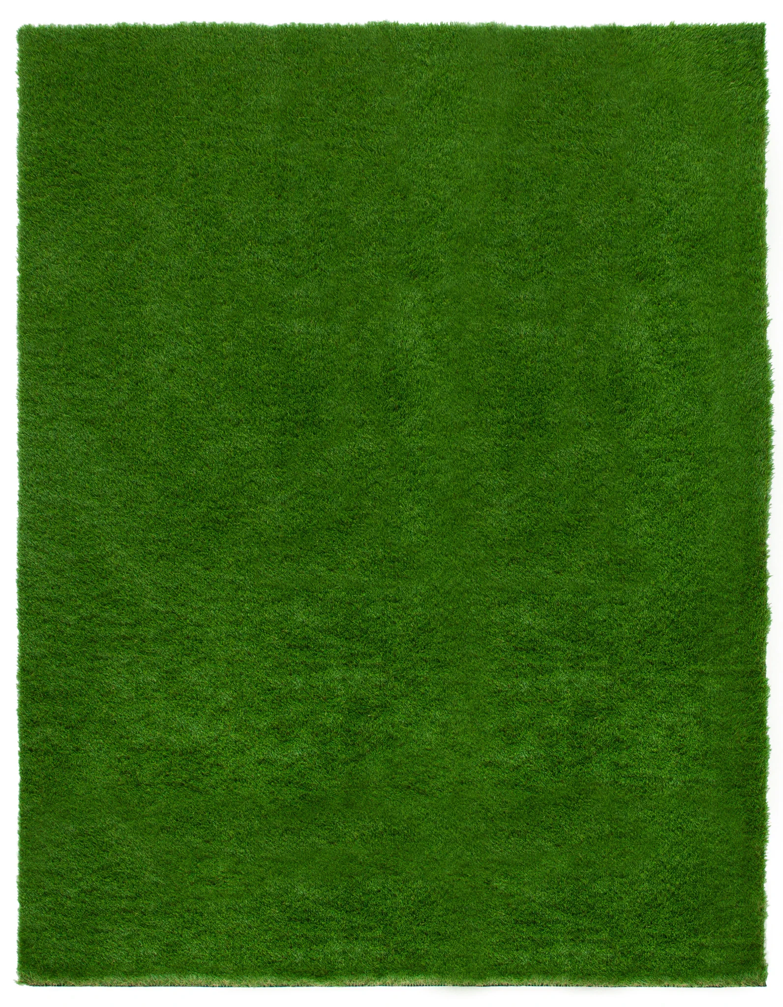 Turf Solid Outdoor Rug in Green