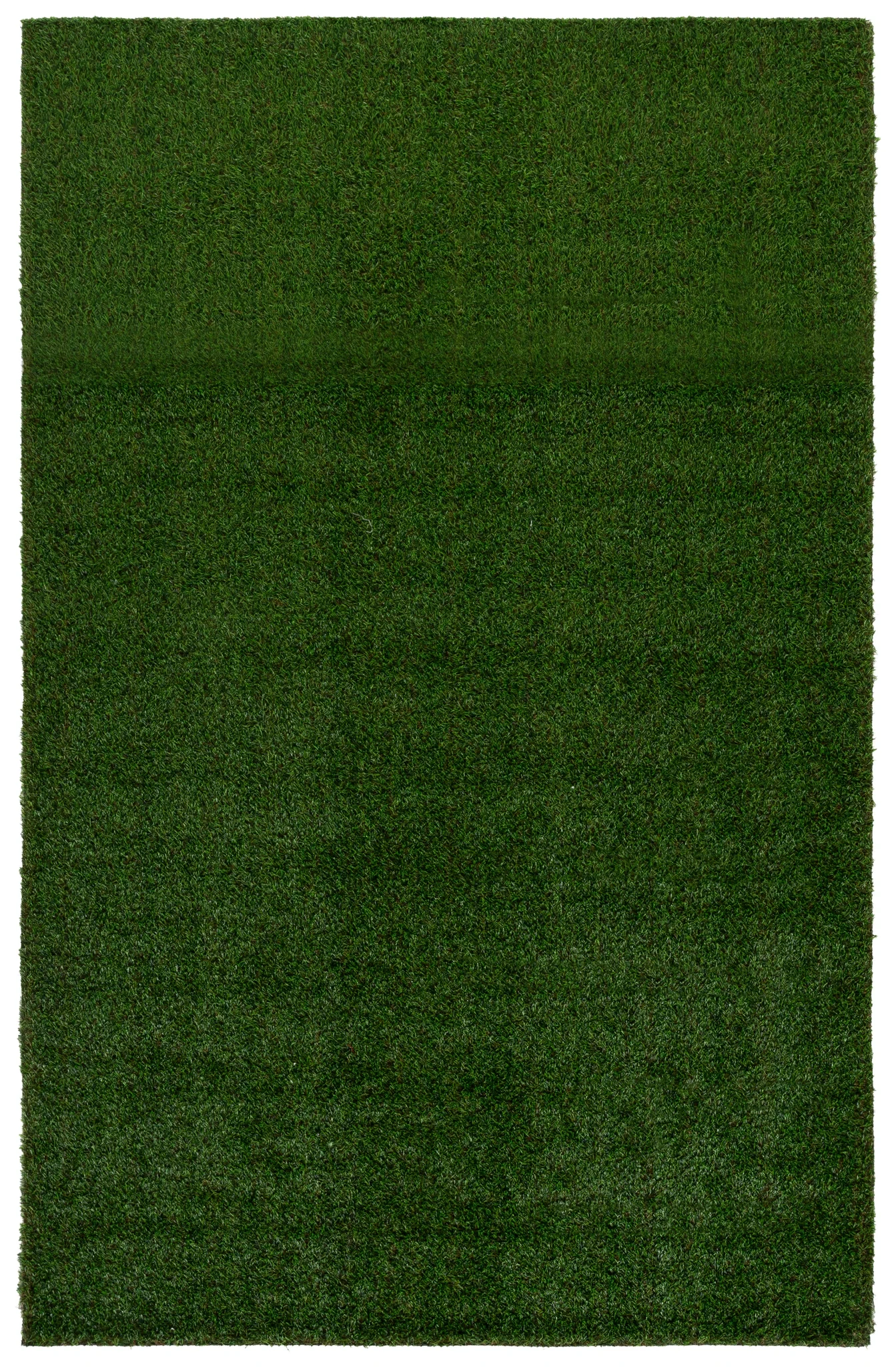 Turf Textured Solid Outdoor Rug in Natural / Green
