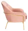 Dusty Rose Velvet / Gold