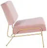 Dusty Rose Velvet / Gold