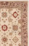 Ivory / Brown