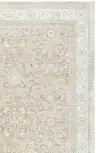 Ivory / Apricot