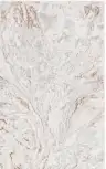 Beige / Gray Ivory