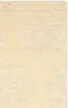 Beige / Silver