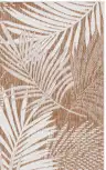 Brown / Ivory