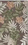 Brown / Green