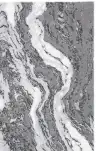 Light Gray / Gray