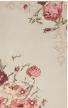Beige / Red