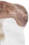Rust / Ivory