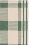 Green / Beige