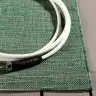 Dark Green / Beige
