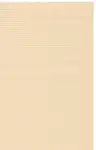 Gold / Beige