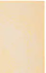 Beige / Gold