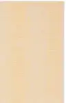 Beige / Gold