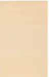 Beige / Gold