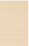 Beige / Gold